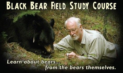 Field Study Courses