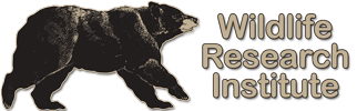 WRI-Logo2