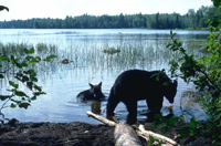 HWB_Slide29_FS_200.jpg