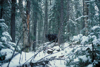 HWB_Slide34_FS_200.jpg