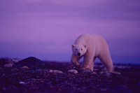HWB_Slide59_FS_200.jpg