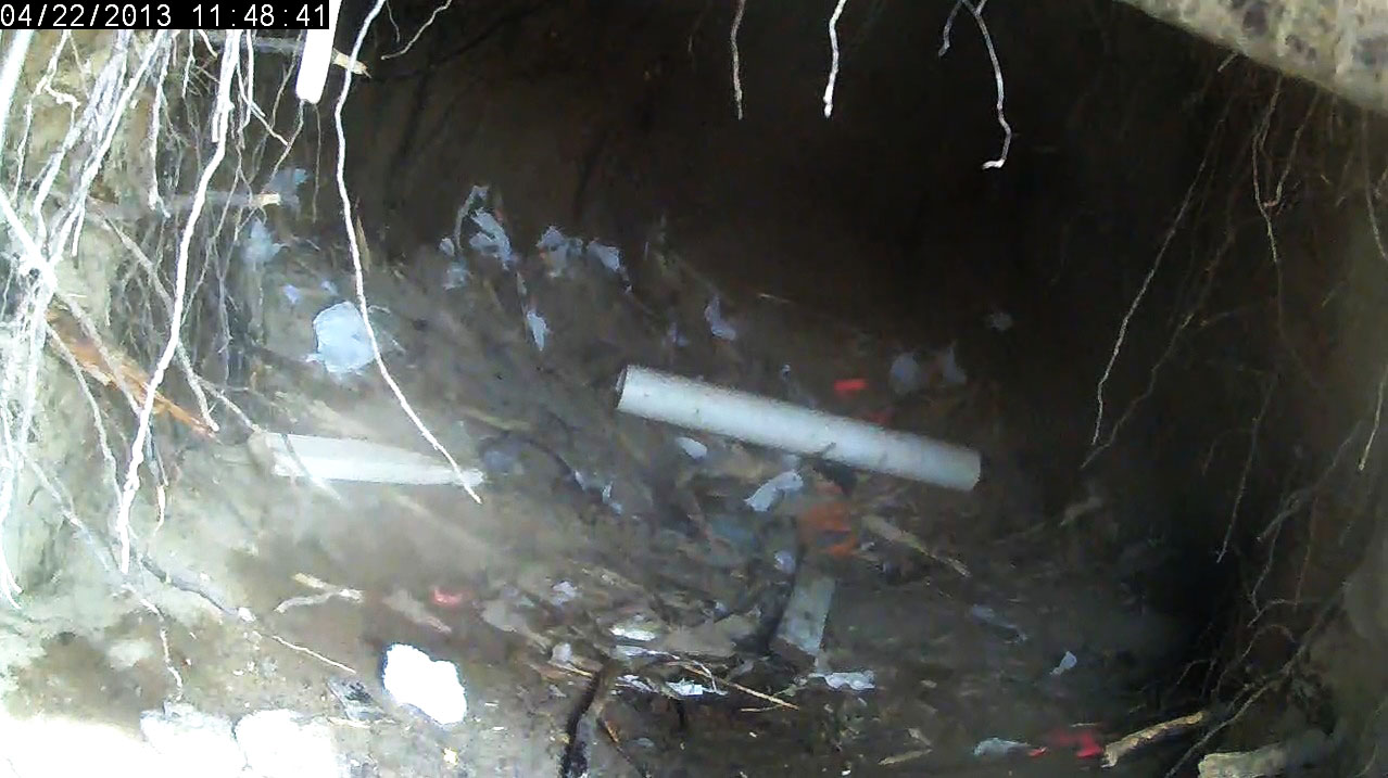 Jewel's trashed den!