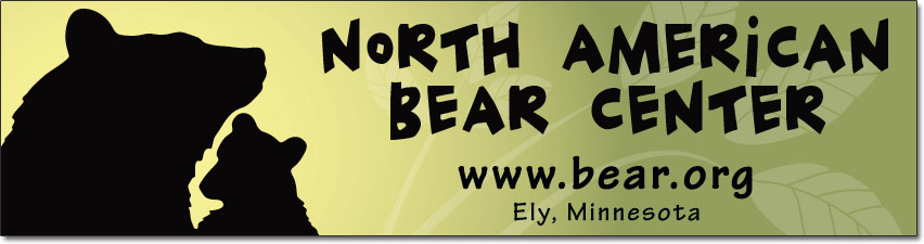 2011 bumper