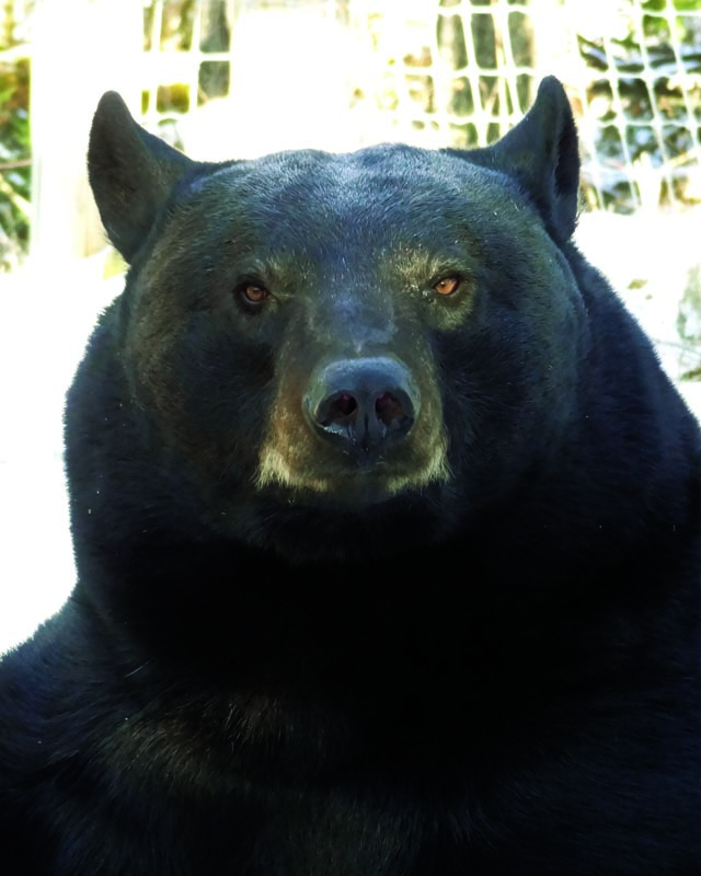 Lucky - Nov 13, 2012