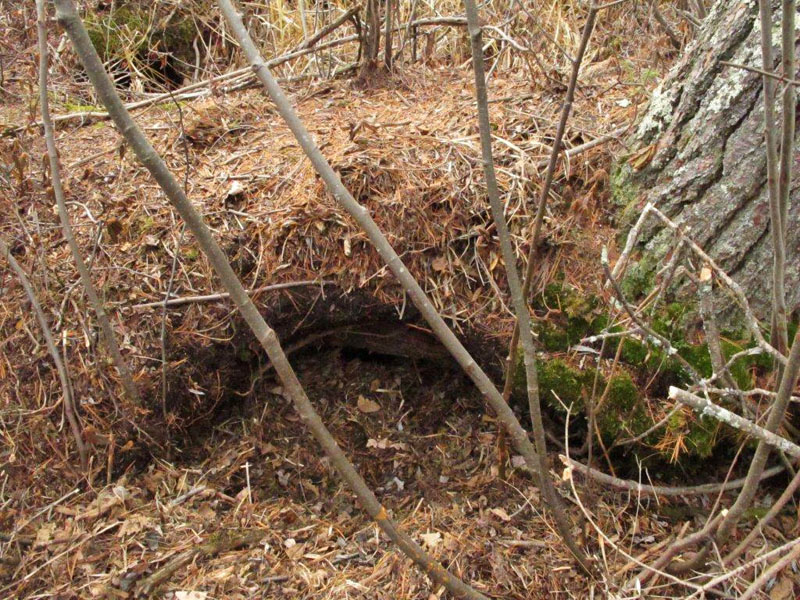 Faith behind a wall of bedding - Nov 19, 2012