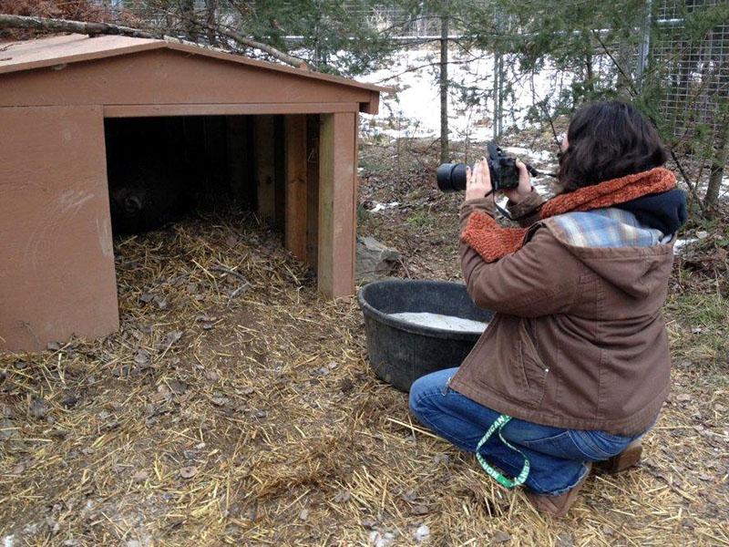 Heidi snapping picture of Ted in chalet den - Dec 6, 2012