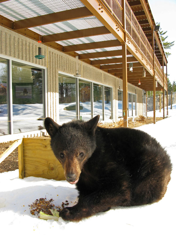 Lucky eating - April 13, 2008