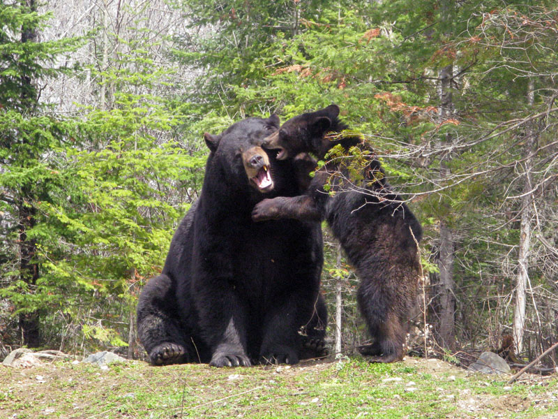 Ted and Lucky - May 11, 2008