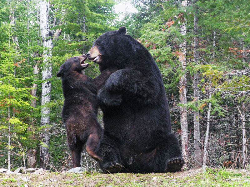 Ted and Lucky - May 11, 2008