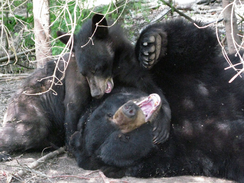 Ted and Lucky - June 1, 2008