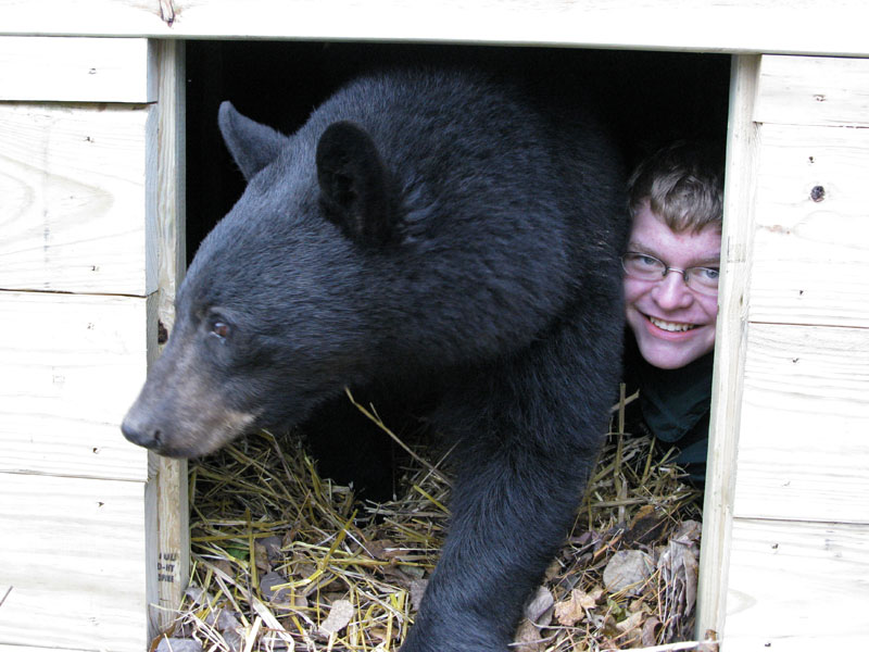 Lucky and Kelby in den - Nov 8, 2008