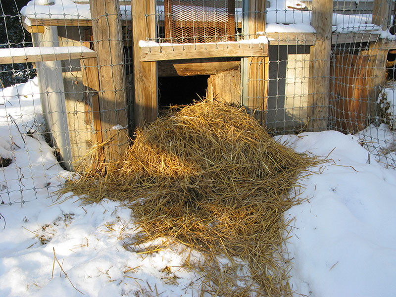 Straw for Honey - December 26, 2012