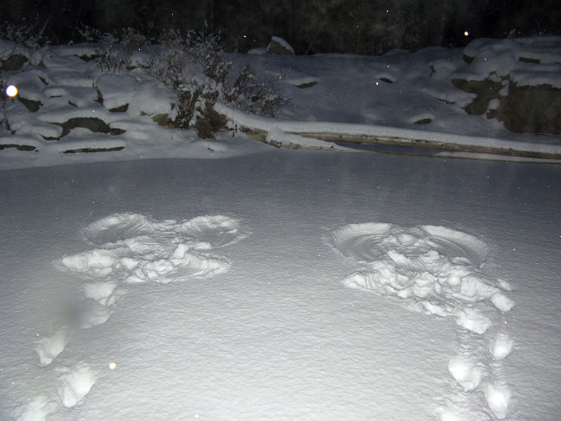 NABC snow angels - Dec 28, 2012