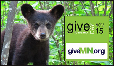 2012 givemn teaser hope