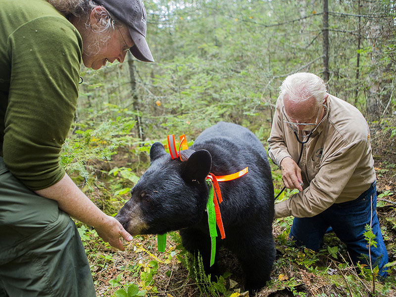 Sue and Lynn with June - 2012