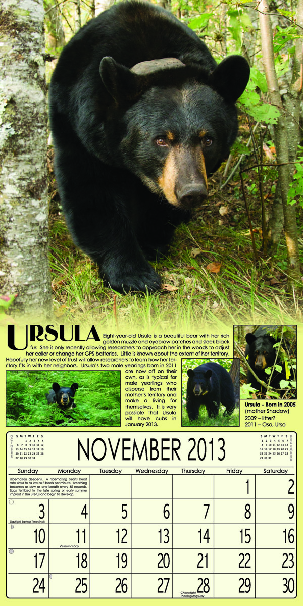 2013 Shadow's Clan Calendar