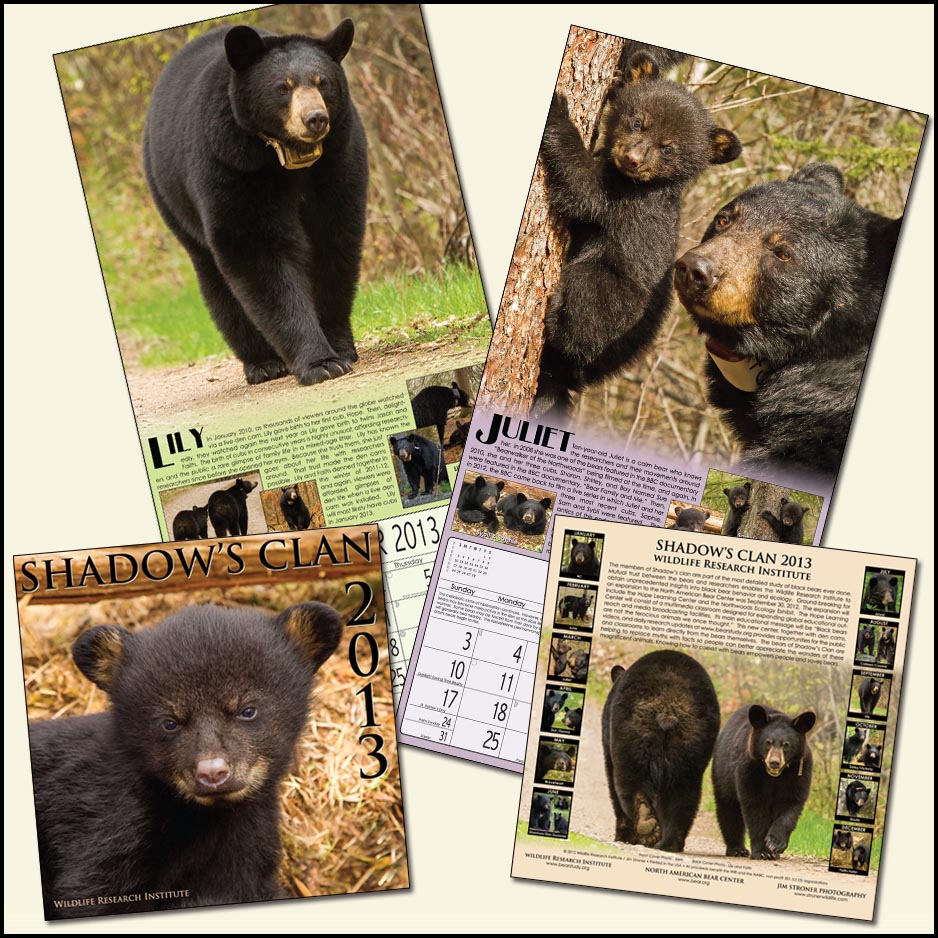 2013 Shadow's Clan Calendar