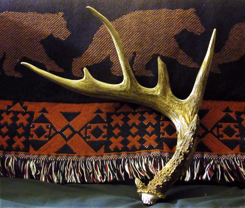 Antler_dropped_12-22-10_adj