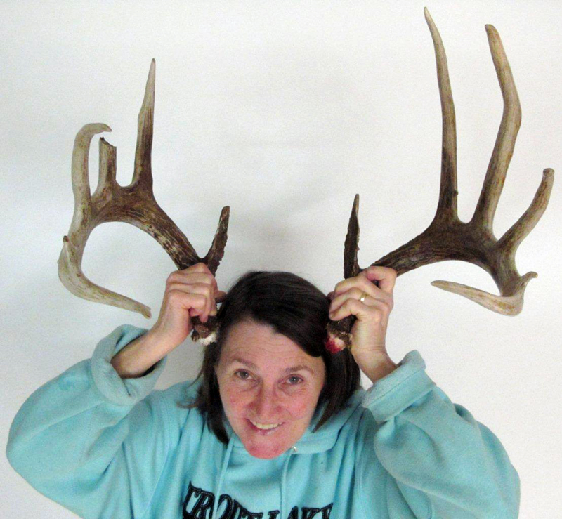 Antlers_Donna_found_2