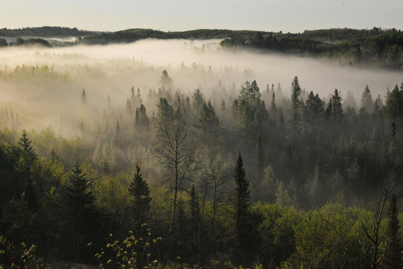 Armstrong River valley - May 21, 2012