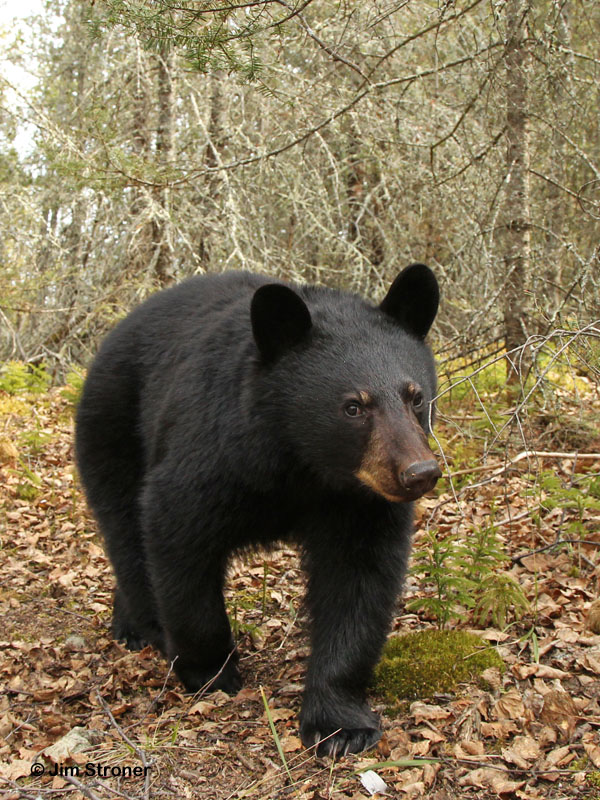 Aspen - April 13, 2012