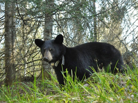 Aster 0 May 10, 2012