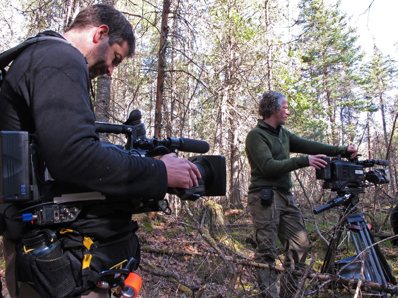 Bear_Family_Jonny_and_Gordon