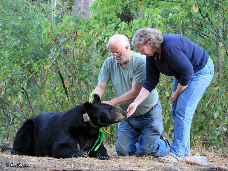 Braveheart_Lynn_Sue_-_20110906