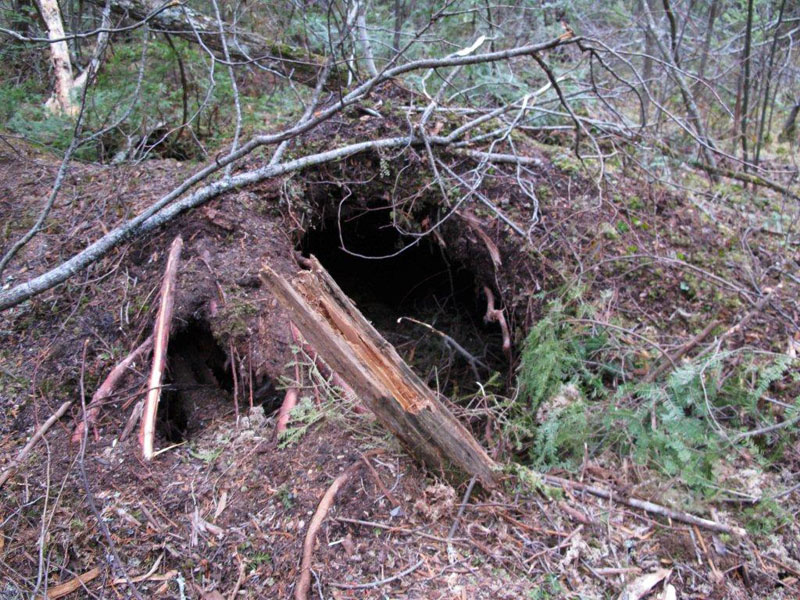 Braveheart's den - March 20, 2012