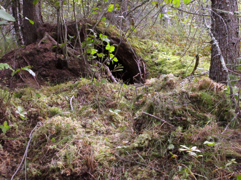 Den Braveheart has worked on - Sept 13, 2012