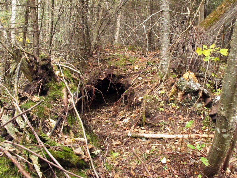 Braveheart's den - Sept 25, 2012