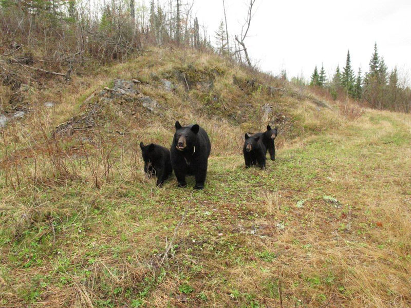 Braveheart's family - May 3, 2012