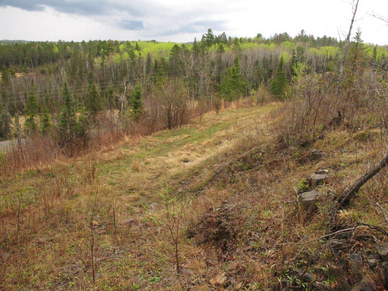 View from where Braveheart was to the bend we had just rounded when she ran off - May 3, 2012