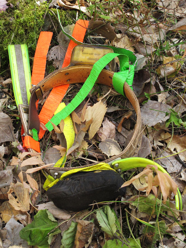 Bravehearts_collar_-_20110909