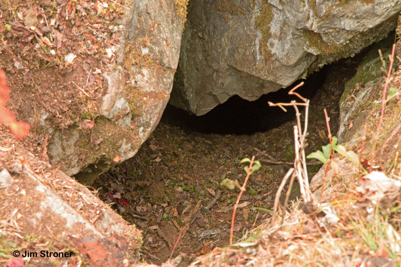 Colleen in den - Sept 17, 2012