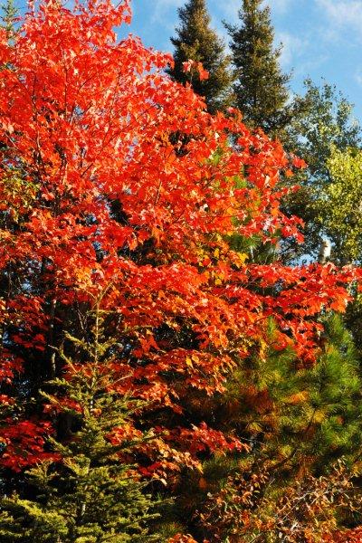 Color 9-25-11