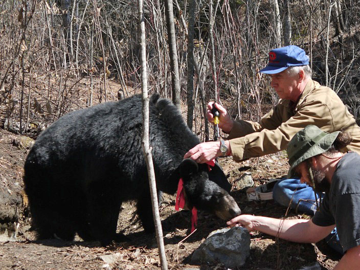 Glenn and Ted work on Cookie's collar - April 4, 2012