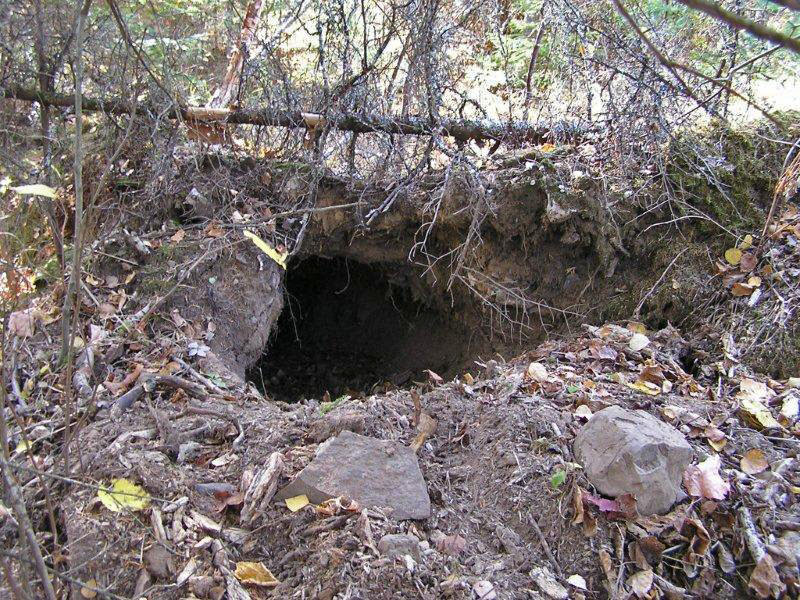 Cookie den_Krause_10-5-11