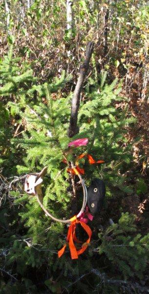 Donna_collar_9-7-11