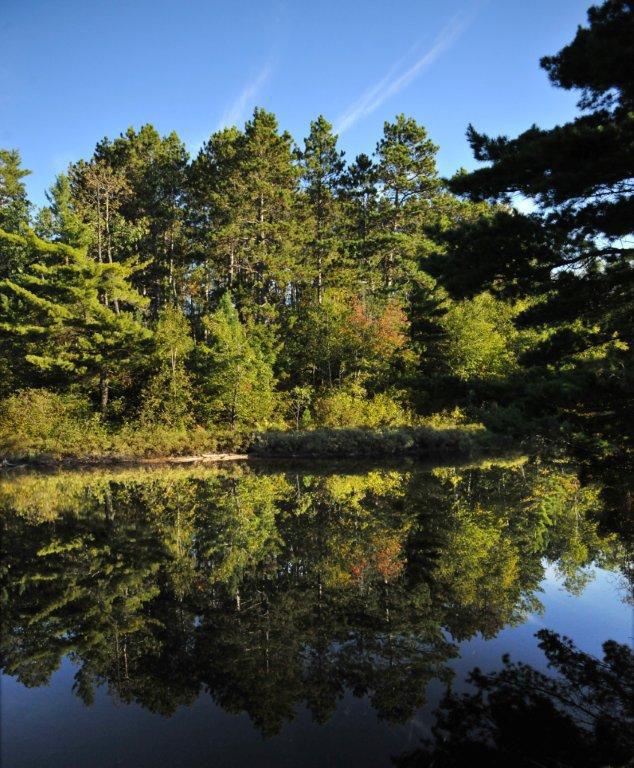 Eagles Nest Lake One reflections - Aug 31, 2012