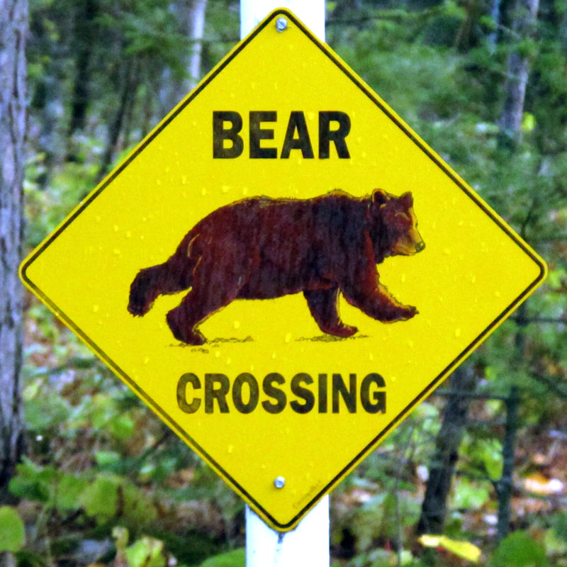 ENT bear crossing sign - Sept 22, 2012
