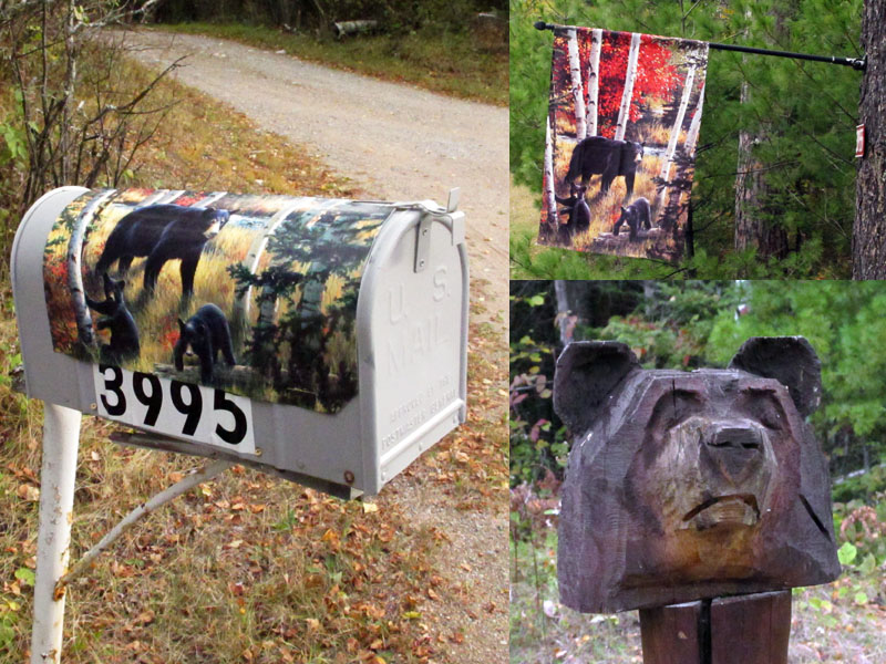 ENT bear yard art - Sept 22, 2012