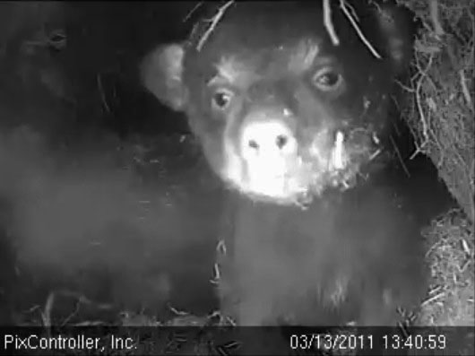 Faith_-_20110313_134059