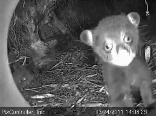 Faith_-_20110324_140829