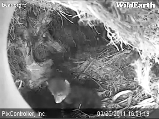 Faith_-_20110325_165119