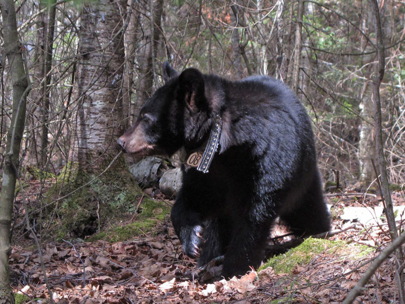 Faith - April 29, 2012