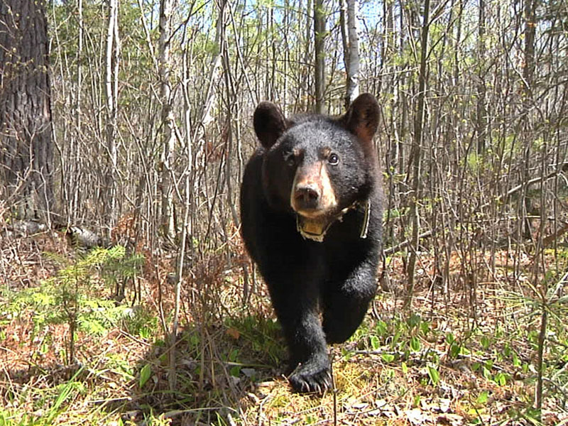 Faith on her own - May 9, 2012