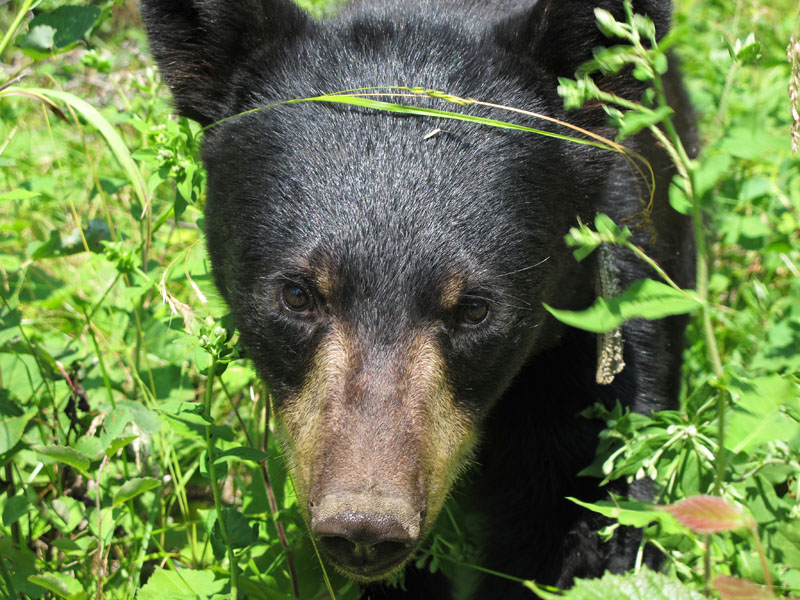 Faith - July 17, 2012