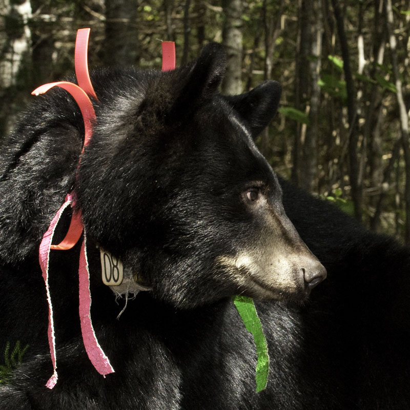 Faith - Sept 9, 2012