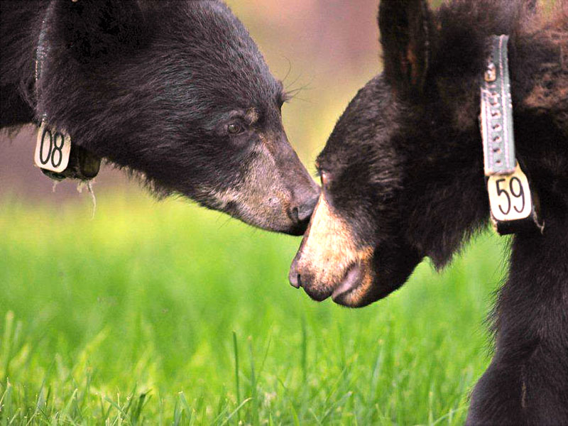 Faith and Aster - June 14, 2012